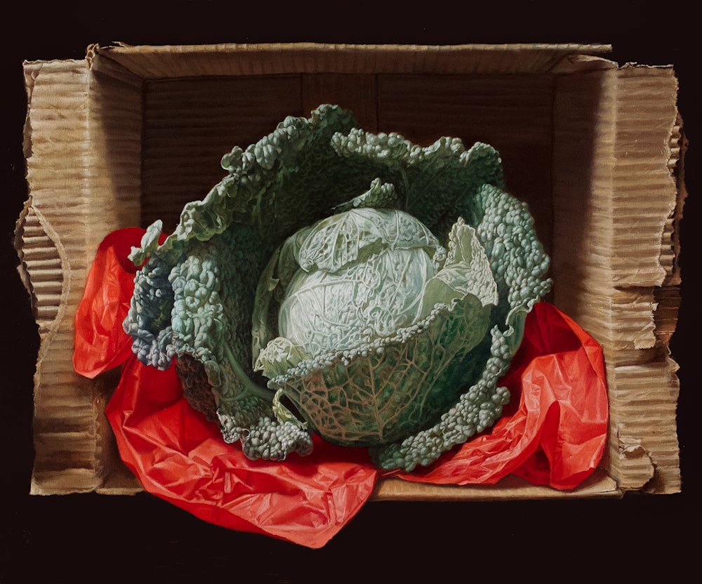 Savoy Cabbage in a Box