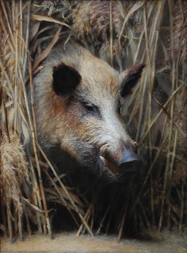 The Boar