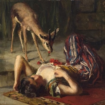 The Deer