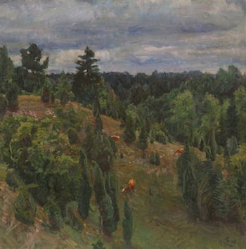 Sommerlandskap